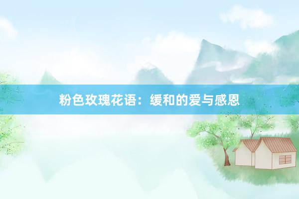 粉色玫瑰花语：缓和的爱与感恩